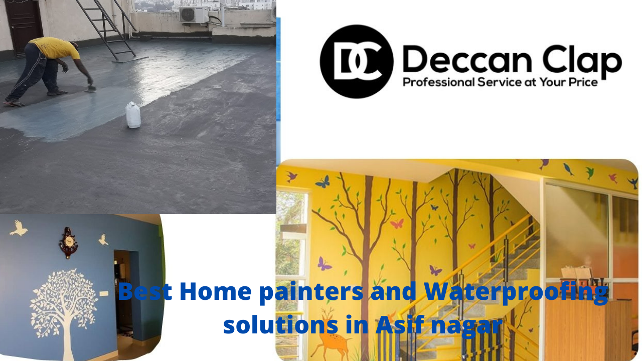 Best Home Painters And Waterproofing Solutions in Asif Nagar