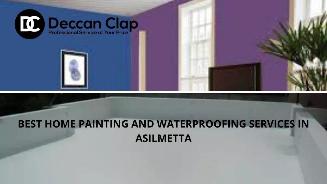 Best Home painting and waterproofing services in Asilmetta