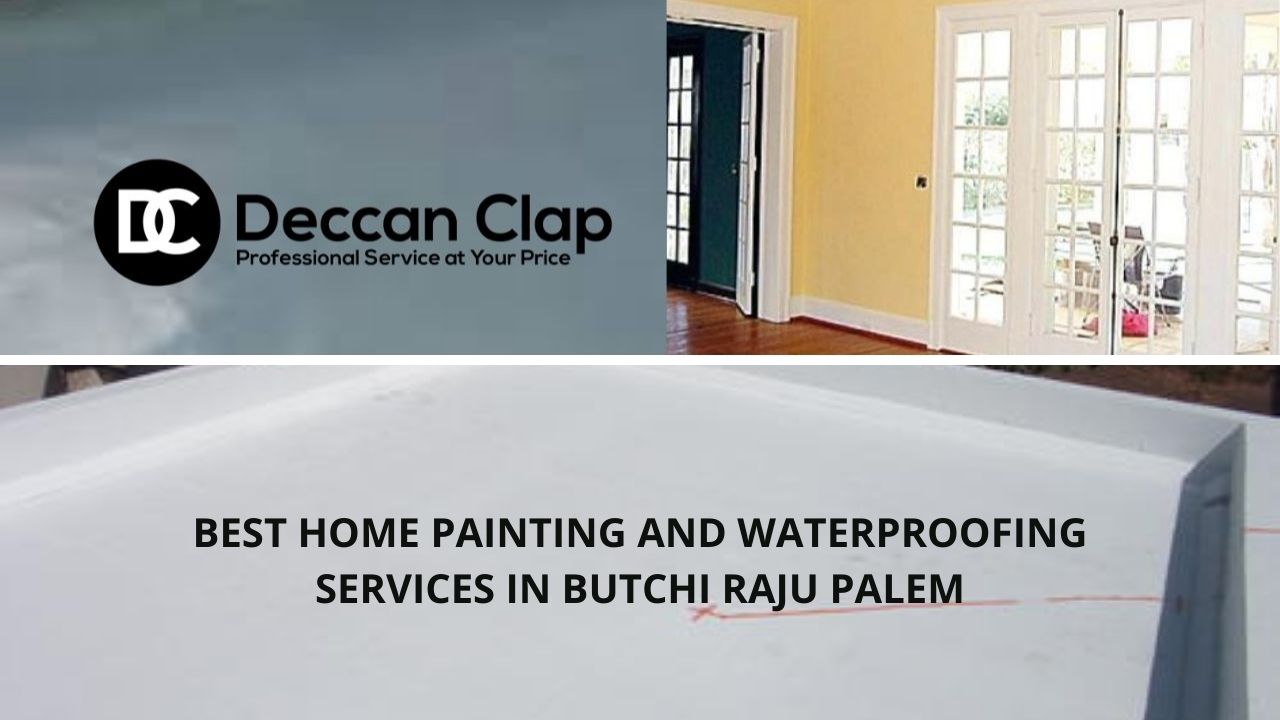 Best Home painting and waterproofing services in Butchi Raju Palem