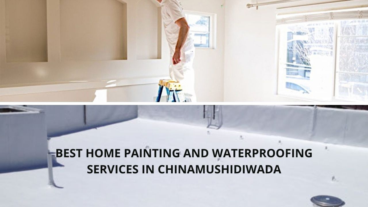 Best Home painting and waterproofing services in Chinamushidiwada