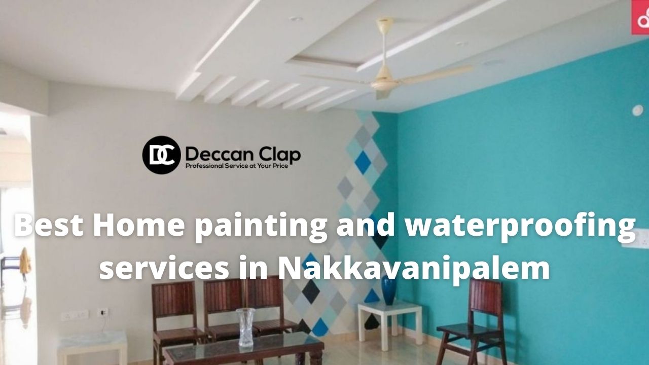 Best Home painting and waterproofing services in Nakkavanipalem