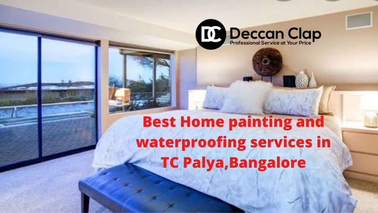 Best Home painting and waterproofing services in TC Palya
