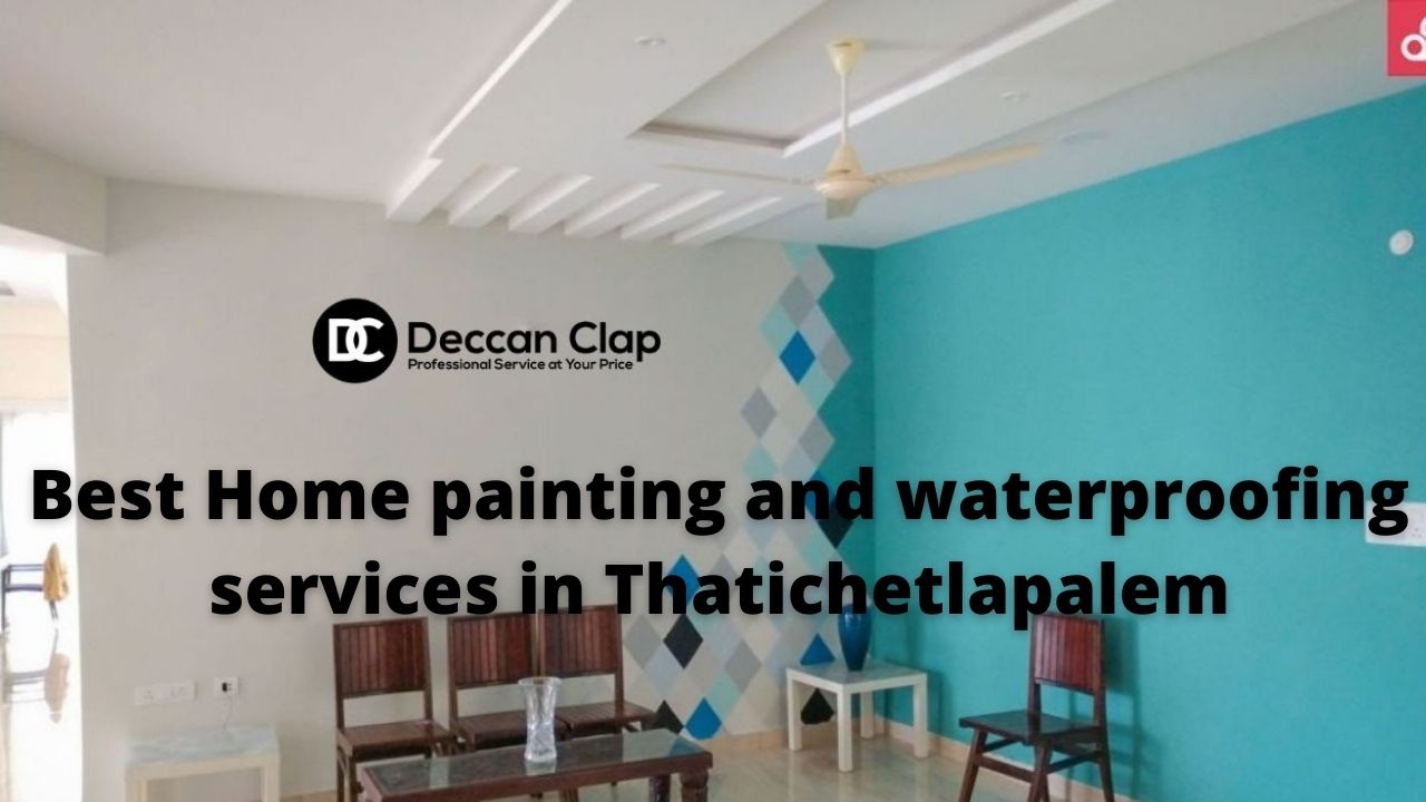 Best Home painting and waterproofing services in Thatichetla Palem