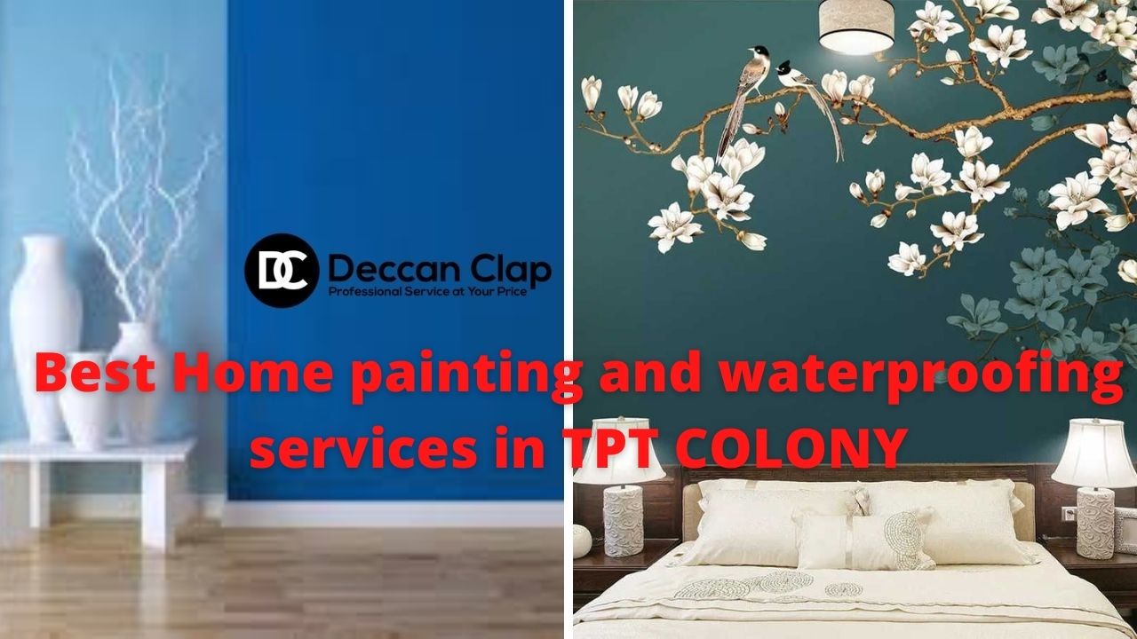Best Home painting and waterproofing services in TPT Colony