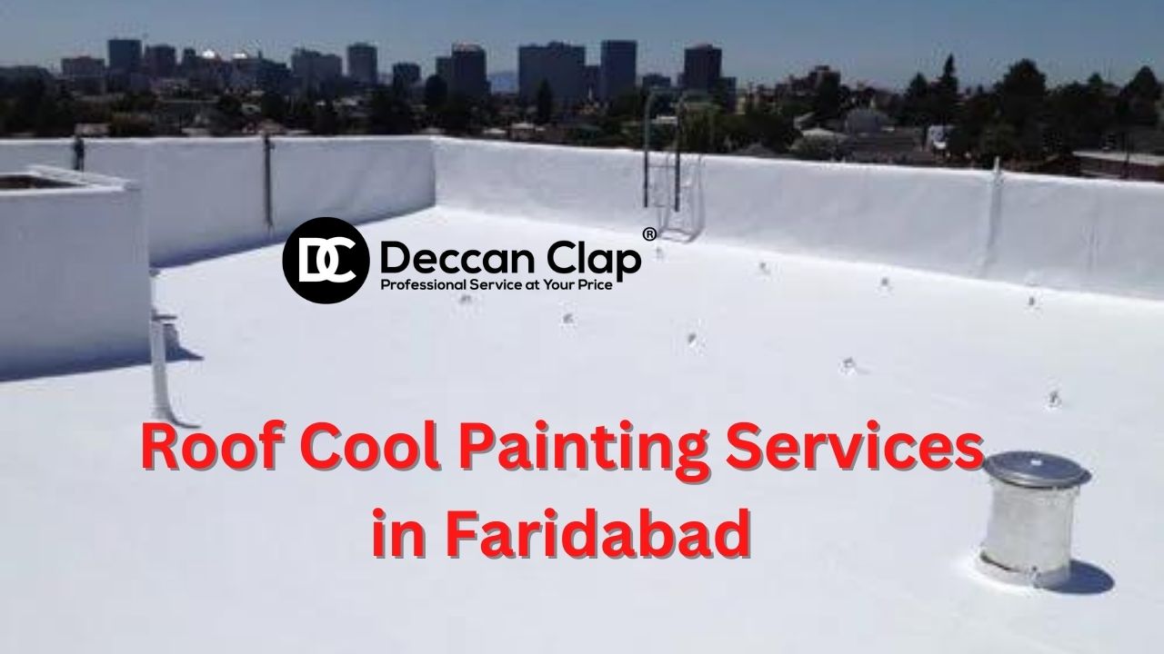 Roof Cool Painting Services in Faridabad