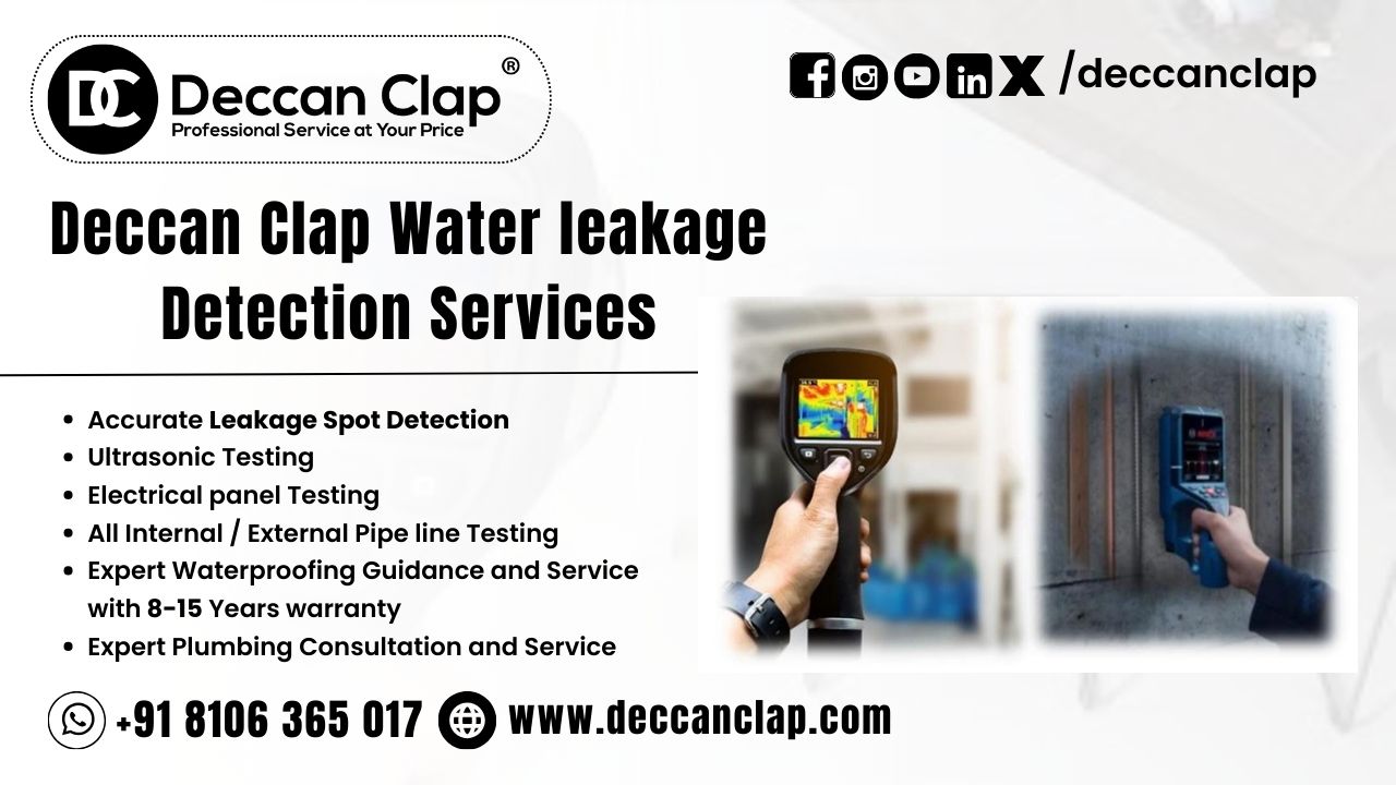 Water Leakage and Dampness Inspection